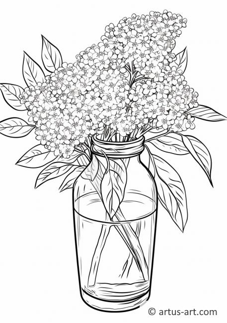 Page de coloriage de fleurs de sureau dans un vase